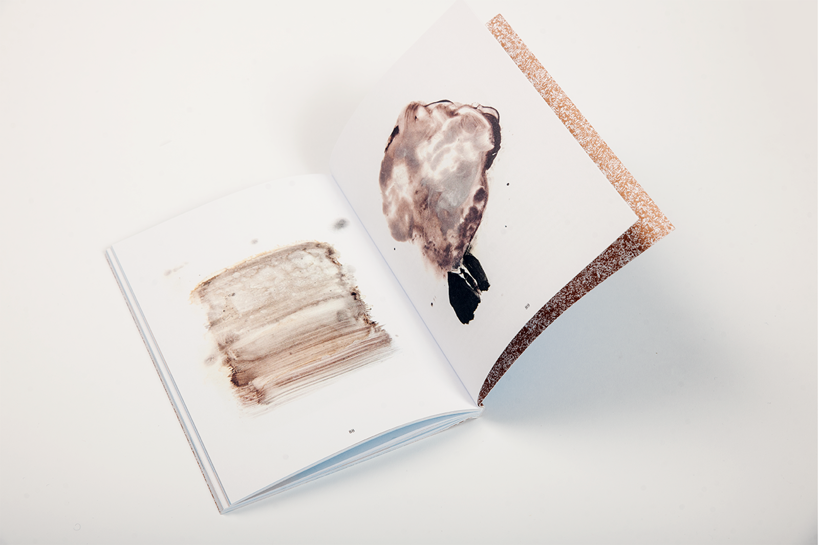 Poetry of Rainis illustrated by Latvian artists ← FOLD